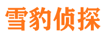 回民市场调查